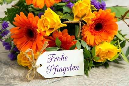 Pfingstgruß Zahngesundheit Halle