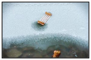 See Winter Roger Barz Halle