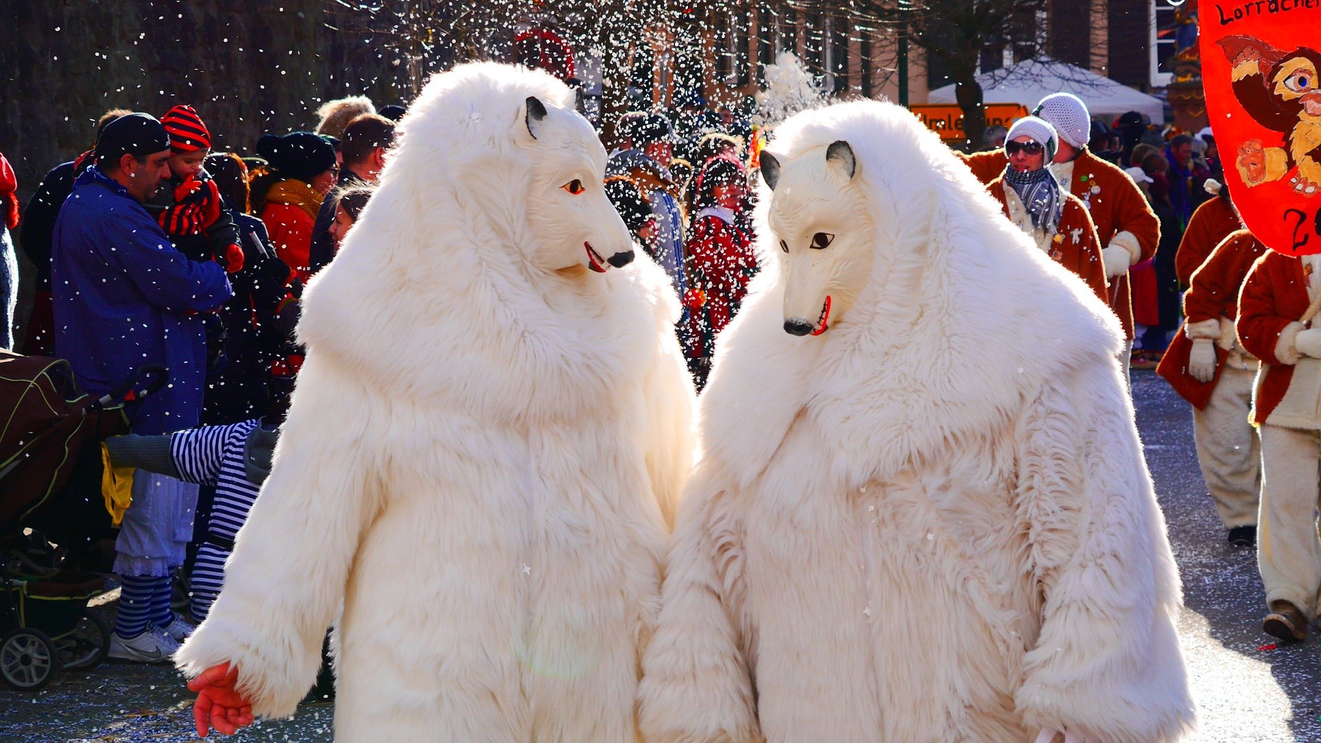 Eisbären Karneval Zahnarztpraxis Roger Barz