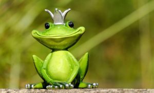 Frosch mit Krone Zahnarzt Roger Barz Halle