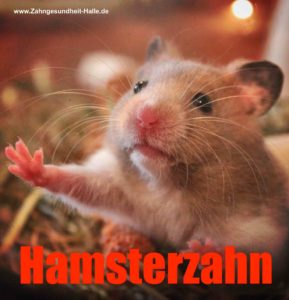 Hamsterkäufe Zahnarzt Roger Barz Halle